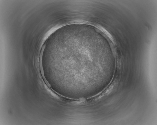 X0000115801381200911131350