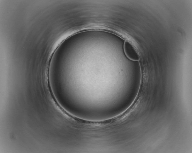 X0000115801382200911131350