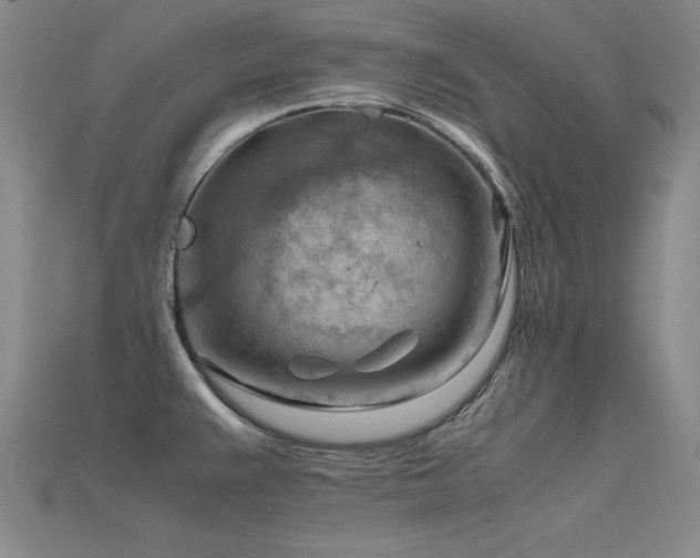 X0000115801383200911131350