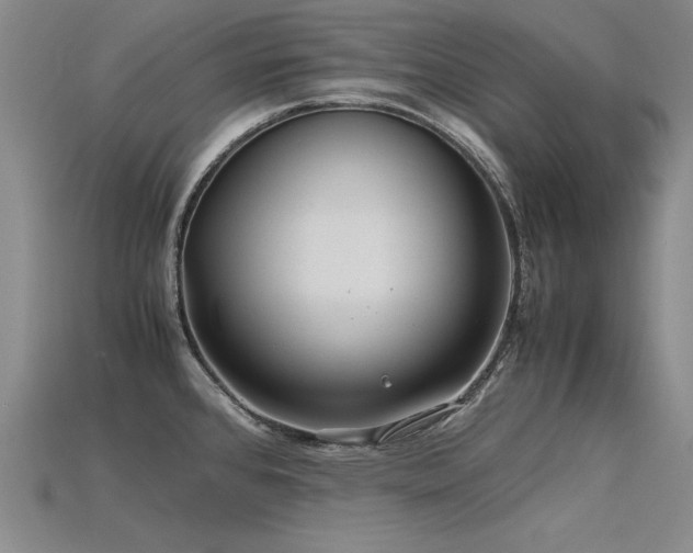 X0000115801384200911131350