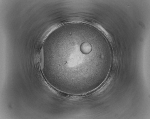 X0000115801385200911131350