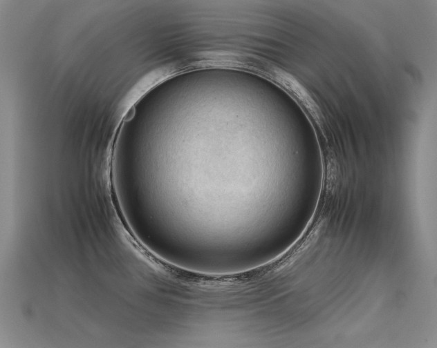 X0000115801386200911131350