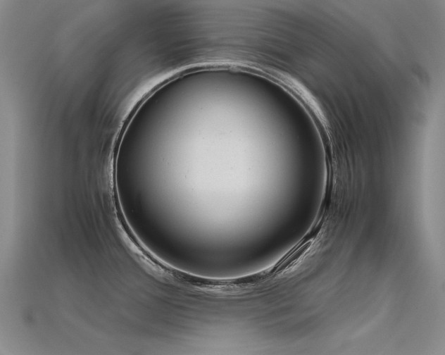 X0000115801388200911131350