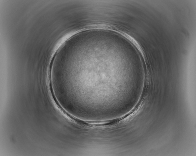 X0000115801389200911131350