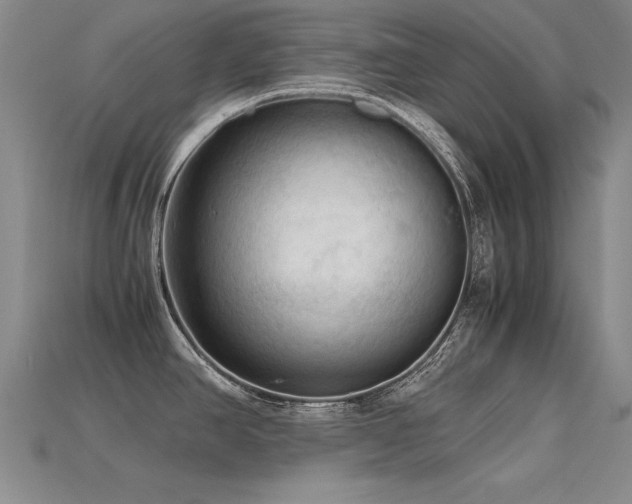 X0000115801390200911131350
