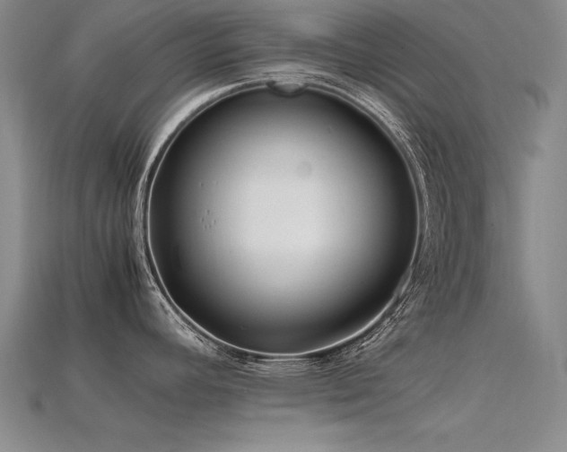 X0000115801392200911131350