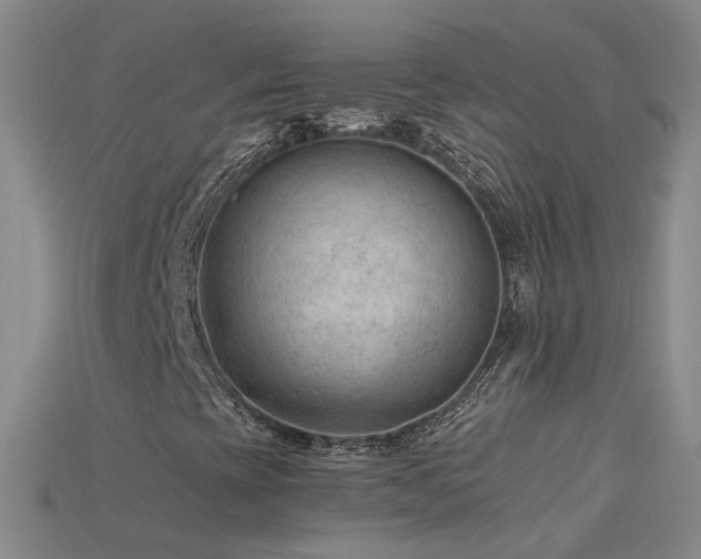 X0000115801393200911131349
