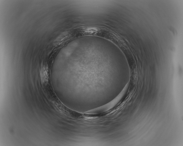 X0000115801394200911131349