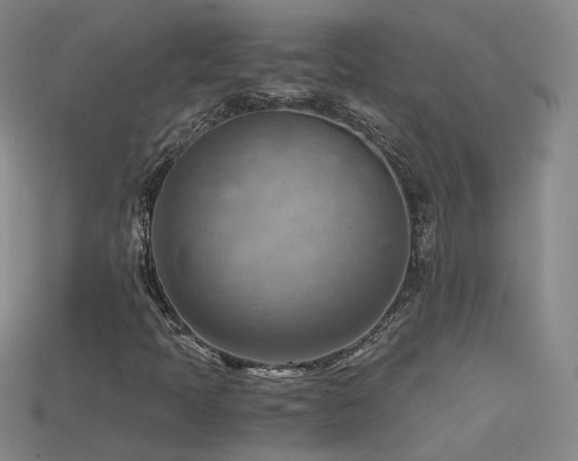 X0000115801397200911131349
