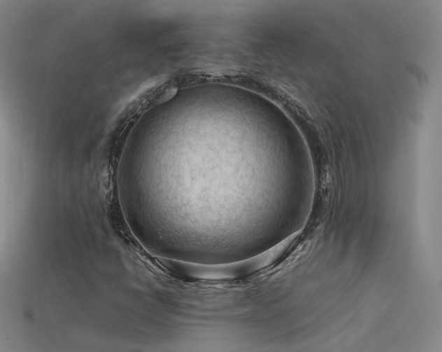 X0000115801398200911131349