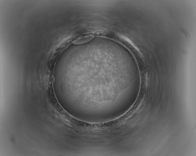 X0000115801399200911131349