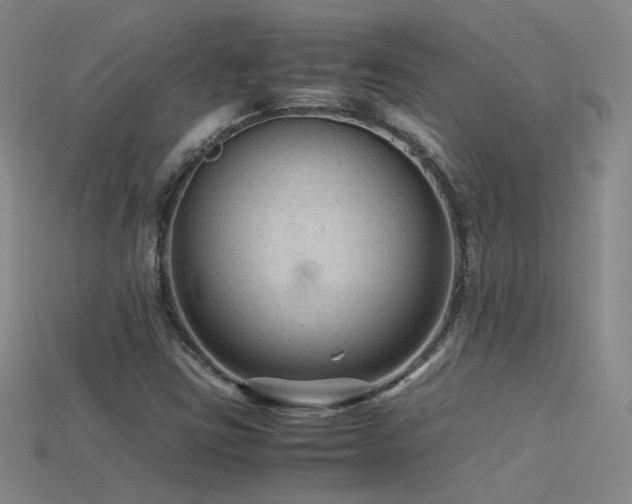 X0000115801403200911131350