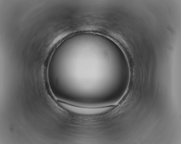 X0000115801404200911131350