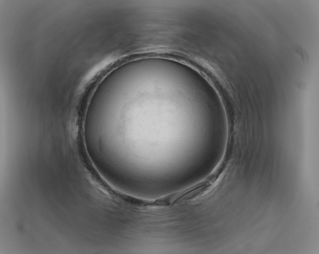 X0000115801406200911131350