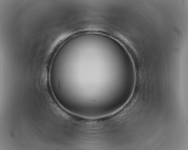 X0000115801408200911131350
