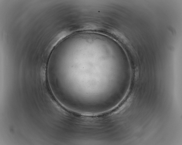 X0000115801409200911131350