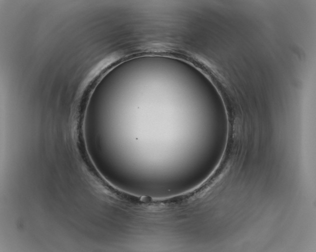 X0000115801410200911131350