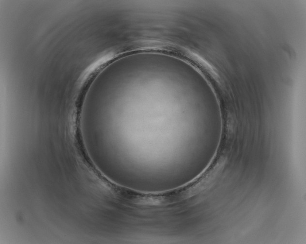 X0000115801411200911131350