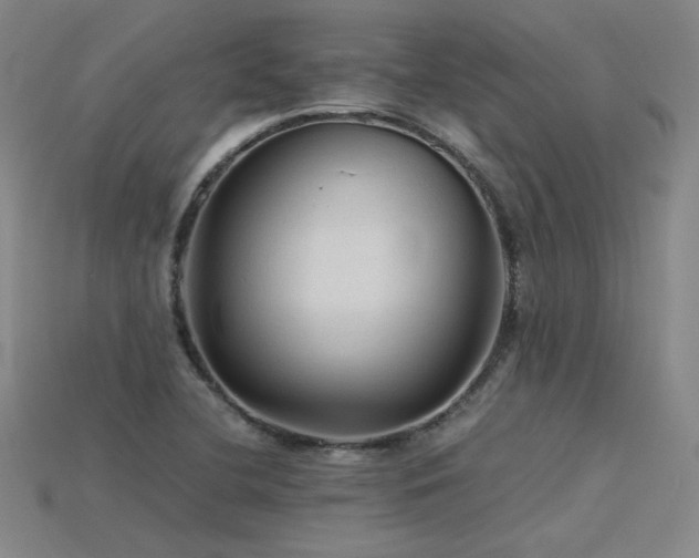 X0000115801412200911131350