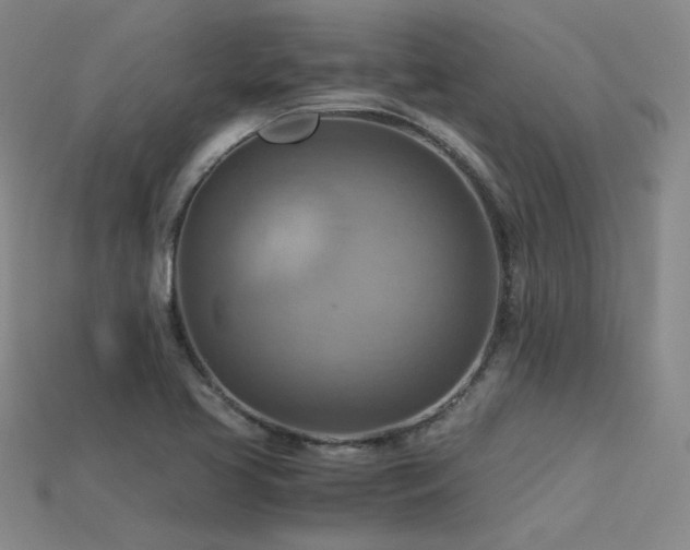 X0000115801413200911131350