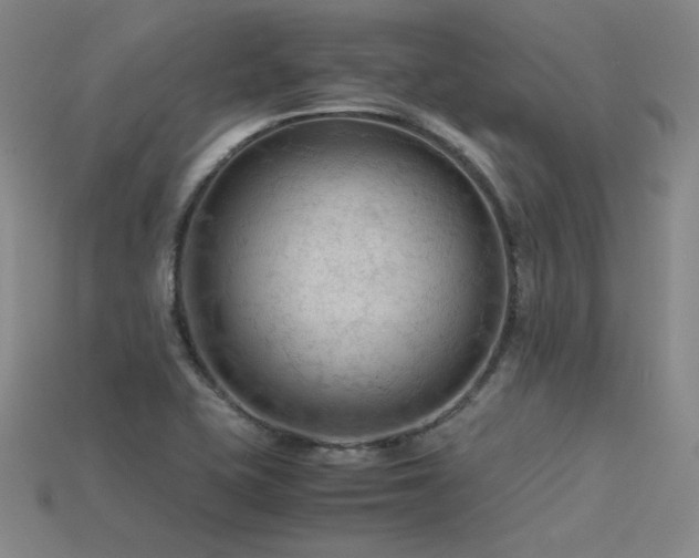 X0000115801415200911131350