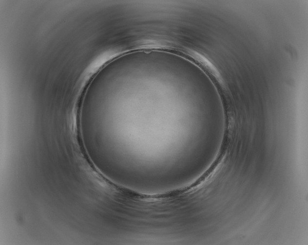 X0000115801419200911131350
