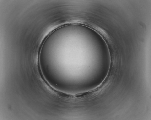 X0000115801420200911131350