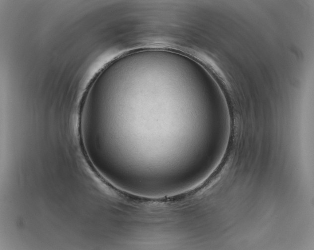 X0000115801424200911131350