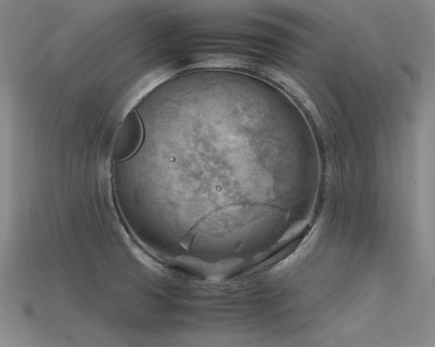 X0000115801425200911131350