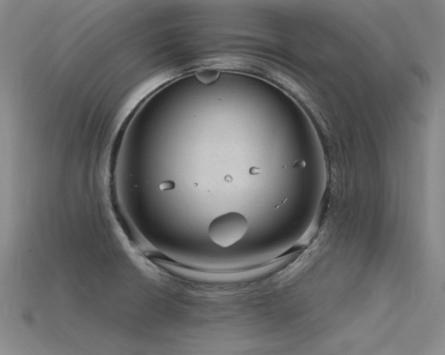 X0000115801426200911131350