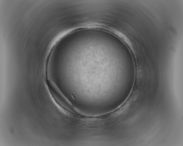 X0000115801429200911131350