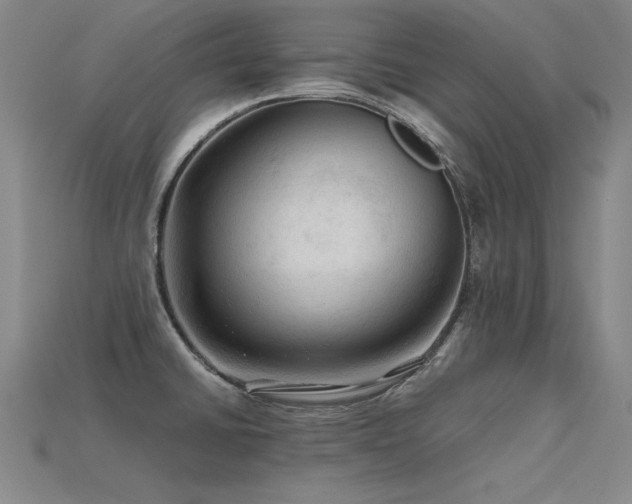 X0000115801430200911131350