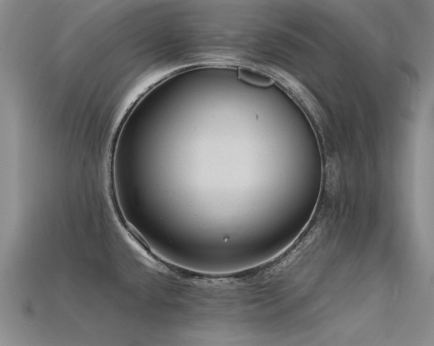 X0000115801432200911131350