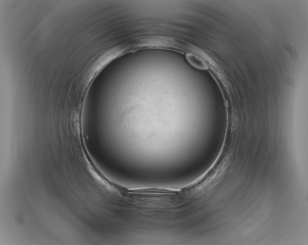 X0000115801433200911131350