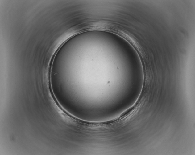 X0000115801434200911131350