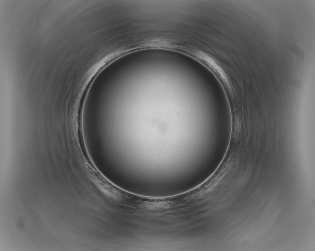 X0000115801435200911131350