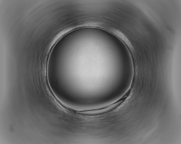 X0000115801436200911131350