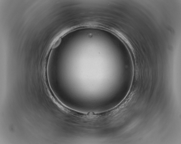 X0000115801437200911131350