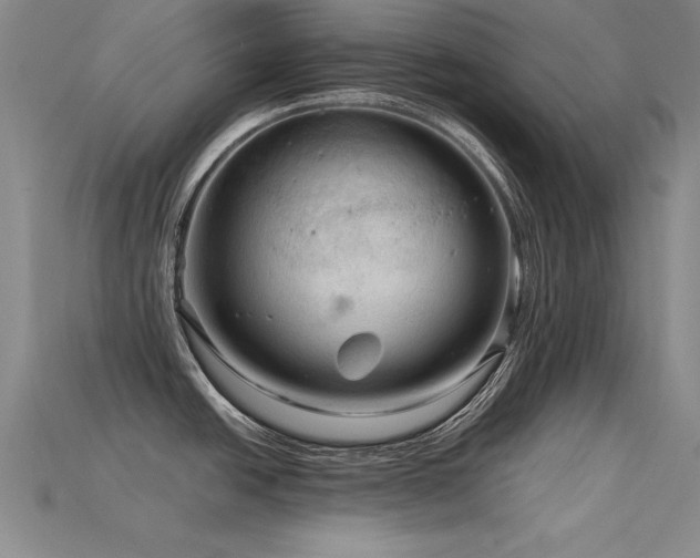 X0000115801438200911131350