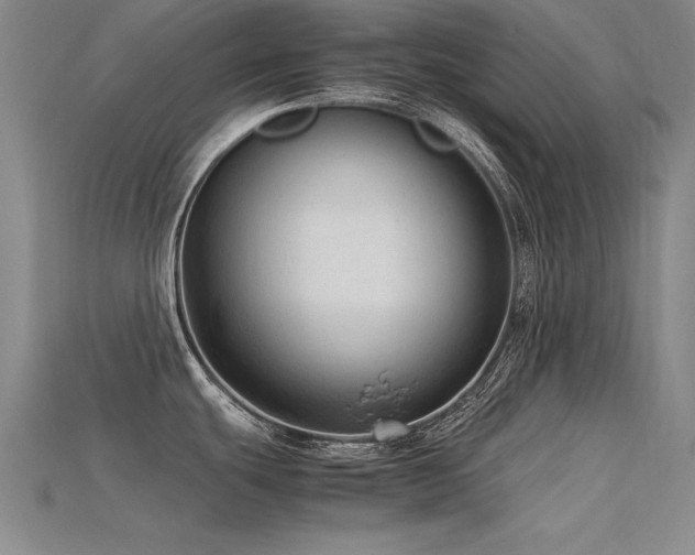 X0000115801439200911131350