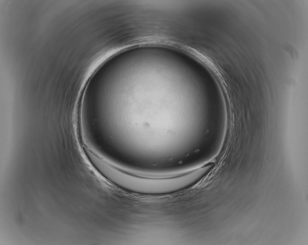 X0000115801440200911131350