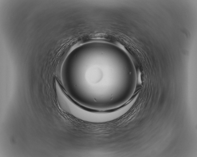 X0000115801441200911131349