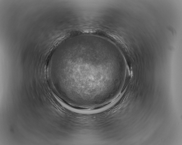 X0000115801444200911131349