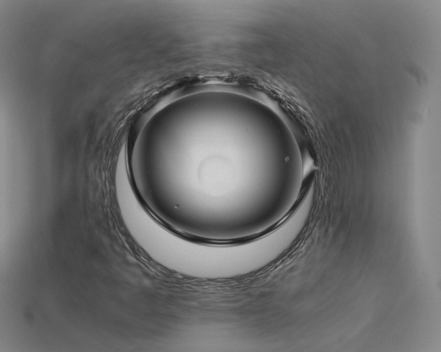 X0000115801445200911131349