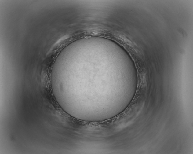 X0000115801446200911131349