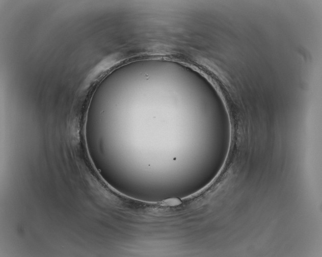 X0000115801451200911131349