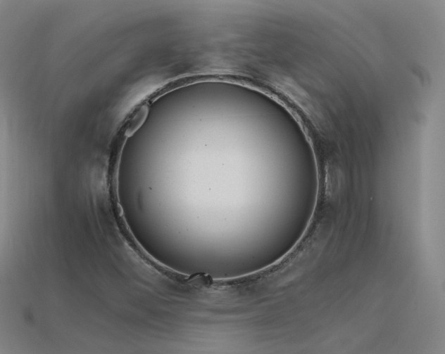 X0000115801452200911131349