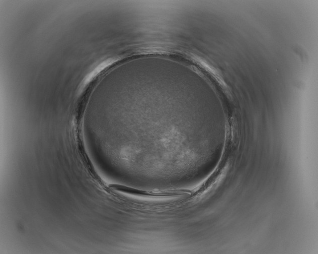 X0000115801453200911131349