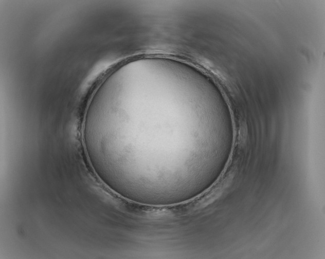X0000115801454200911131349