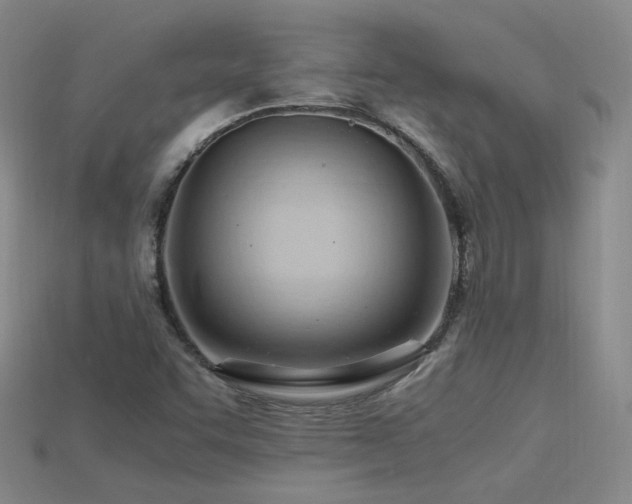 X0000115801455200911131349